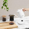 Haden 0.6-Liter Stainless Steel Electric Kettle, Gooseneck Hot Water Kettle