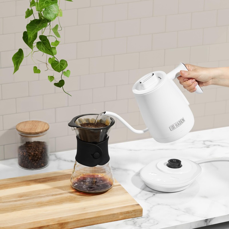 Haden 0.6-Liter Stainless Steel Electric Kettle, Gooseneck Hot Water Kettle