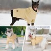 cyeollo Dog Sweater Turtleneck Knitted Sweaters with Leash Hole Winter