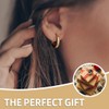 FDCGAS Earrings - 1 Pair of Hoop Earrings for Women,