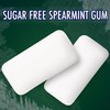 ECLIPSE Spearmint Chewing Gum Sugar Free, Mint Gum Bulk Pack,