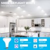 DAYBETTER 12Pack BR30 LED Light Bulbs Indoor Flood Light 65W