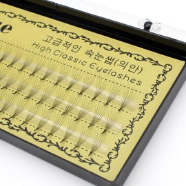 6-Strand Individual Cluster Eyelashes for Grafting, Upgraded Scarecrow Style, 0.07mm Mink Material 10MM 10ea