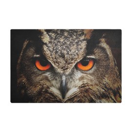 Coffee Mat Coffee Bar Mat Coffee Maker Mat for Countertops Coffee Machine Mat Leather Absorbent Drying Mat for Kitchen Counter Coffee Bar Accessories Coffee Bar Decor 18" X 12“ Owl Bird Eyes