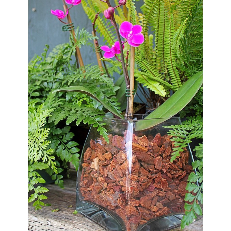 SuperMoss (23120) Orchid Potting Bark, Natural Brown, 1560 cu In.