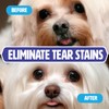 Peteyez Tear Stain Remover Vitamin Treats for Dogs - Support