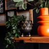 Sass & Belle Wax Resist Triangles Black Leggy Planter