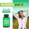 Gut Probiotic Suplemento Natural Probióticos Prebióticos Enzimas Digestivas Citrato Magnesio