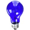 Westinghouse Lighting 0344500, 25 Watt, 120 Volt Trans Blue Incandescent