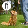 2 Pieces Of Pet Leashes, Wear-Resistant Leashes, Pet Training Supplies,