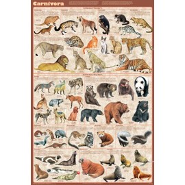 Laminated Carnivora Poster