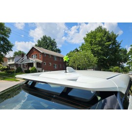 Tenna Tops Green Frog Froggy with Magnetic Car, Truck, and SUV Roof Antenna Topper Stand (Car Magnet Buddy)