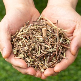 See detailed explanation Domestic dried honeysuckle 300g vine honeysuckle flower honeysuckle dried tea dried dried herbal tea / 국산 말린 인동덩쿨 300g 덩굴 인동초 꽃 금은화 마른 차 건조 건 한방 차