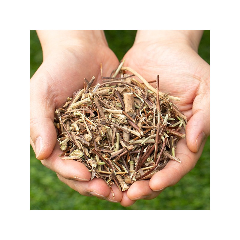 See detailed explanation Domestic dried honeysuckle 300g vine honeysuckle flower