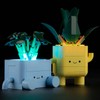 YEABRICKS LED Light for 10349 Botanical Happy Plants Building Blocks