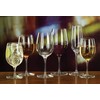 Luigi Bormioli Palace 12.25 oz Red Wine Glasses (Set Of