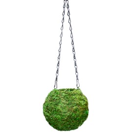 SuperMoss (29348) Kokedama Planter, 6", Fresh Green