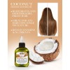 Producto Para El Cuidado Del Cabello Ethereal Nature Hair Oi