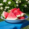 Organic Watermelon Seeds (Crimson Sweet) - Approx 12 Seeds -