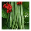 Premier Seeds Direct PREMIER SEEDS DIRECT - Runner Bean -