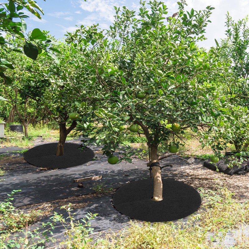 M METERXITY 24 Pack Non Woven Tree Cover Rings,10.6 Inch