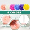 Siifert Piezas Esponja Baño Ducha Loofahs Granel Luffas Exfoliante Cuerpo