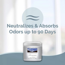 Smells Begone Air Freshener Odor Absorber Gel - Absorbs and Eliminates Odor in Pet Areas, Bathrooms, Cars, & Boats - Fragrance Free - 15 Ounce - 2 Pack