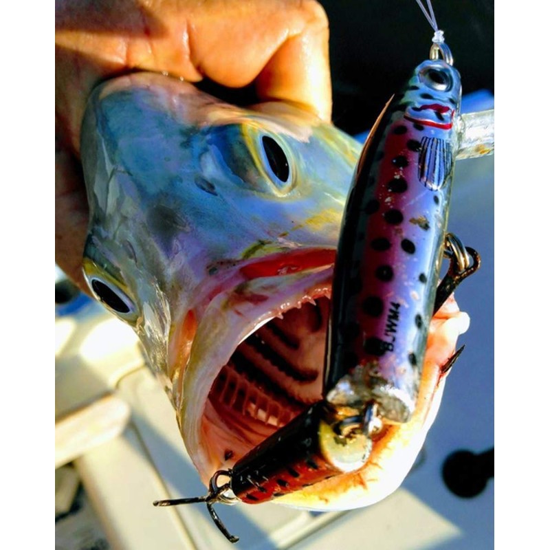 Bomber Jointed Wake Minnow Chrome Black Back , 5-3/8"