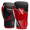 Hayabusa Sport Boxing Gloves for Men and Women Dual-Splinted Wrist