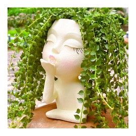 EylbKey Planter Pot, Head Face Planter, Flower Pots for Plants, Succulent Planter, Head Planter, Flower Pots for Plants, Face Planters Pot Indoor and Outdoor,AirKiss,Pale Yellow,1Pack