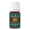Aceite Esencial Para Difusor De Menta Verde 5ml Young Living