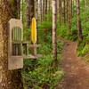 Uncle Dunkels’ Chair Squirrel Feeder, Handmade Wood Table and Chair