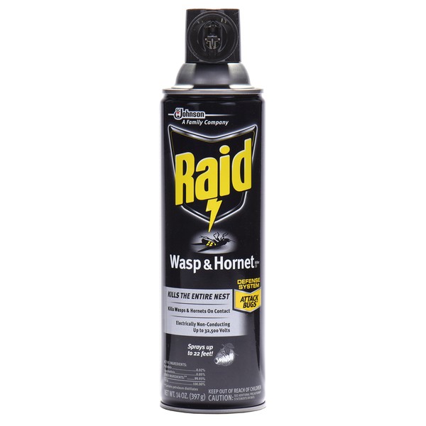 Raid Wasp & Hornet Killer Spray, 14 OZ (Pack -
