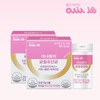 Ollinivy 올린아이비 이너뷰티 특허 여성 균질유산균 2박스 Ollinivy Inner Beauty Patent Women's Homogeneous Probiotics 2 Boxes