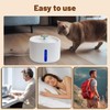 LIFFY Small Pet Water Fountain 2.6L Automatic Water Dispenser for