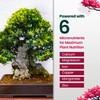 16oz Bonsai Fertilizer Liquid - Makes 96 Gallons of Bonsai