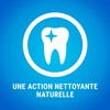 Dentalife Purina Teartalife Extra Mini - Maxi Pack - 207
