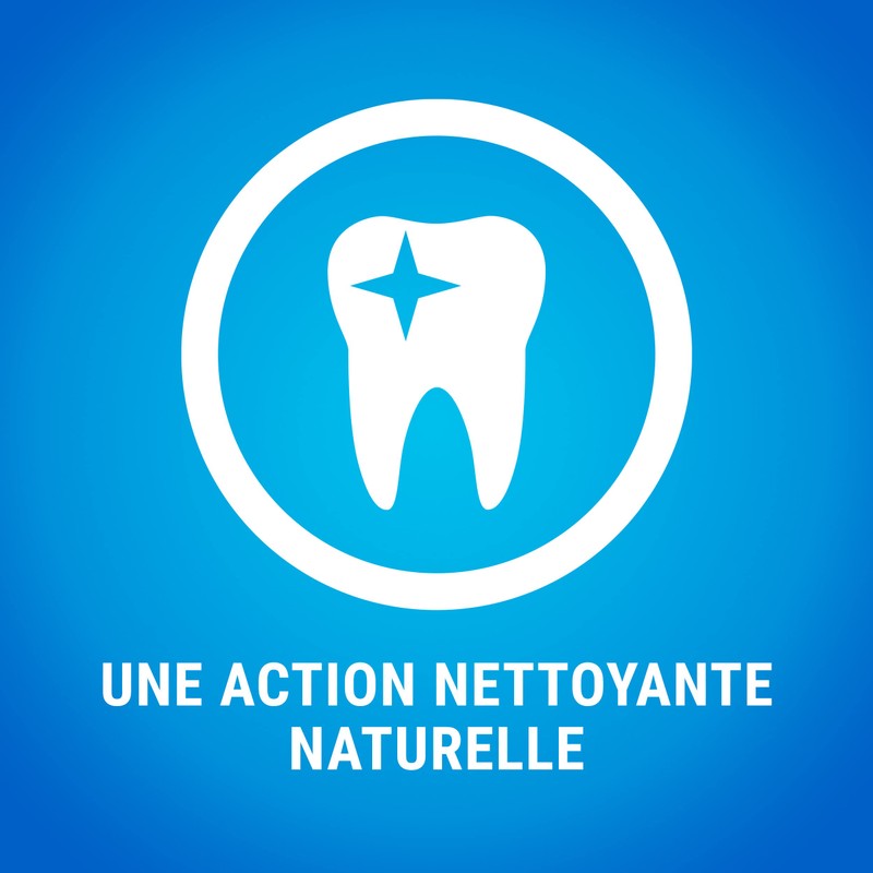 Dentalife Purina Teartalife Extra Mini - Maxi Pack - 207