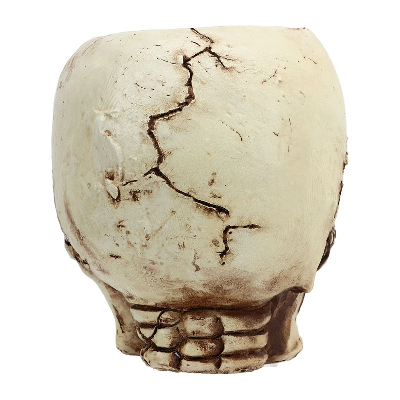 Skull Head Flower Pot Resin High Strength Clear Shape Skull