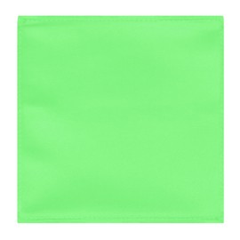 Jacob Alexander Men's Pocket Square Solid Color Handkerchief - Lime