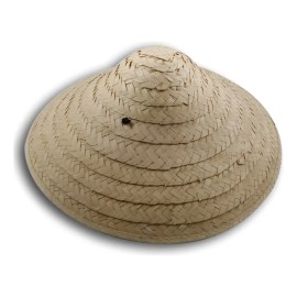 Sombrero Kasa Japones Oriental Palma Mayoreo Disfraz