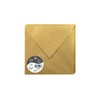 Clairefontaine 50083C Pack of 20 Envelopes Pollen, 165 x 165