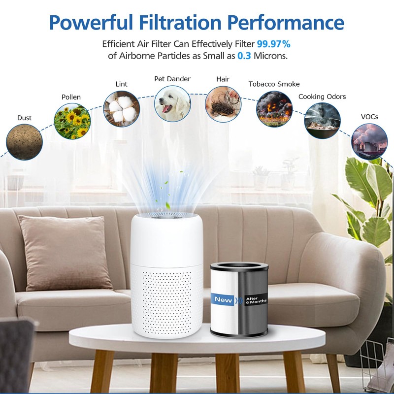2 Pack Max/Mage/Mage Pro Replacement Filter Compatible with Afloia MAX/MAGE/MAGE