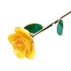 Gold Dipped Rose Flowers Love Gift for Girlfriend Birthday Christmas