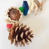 2PCS Chew Toys for Parrots, Natural Pine Cones & Rattan