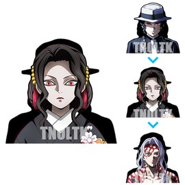 3D Motion Anime Car Decals Waterproof Stickers Anime Bumper Stickers for Car Automotive Laptop Window Skateboard Kids(DS-20)