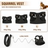 Swirge 3Pcs Rat Harness and Leash, Small Animal Training Walking