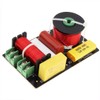 DriSentri 2 Way Crossover for Speaker, 200W 4-8 Ohm 2