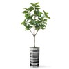 Artificial Tree in Black and White Vertical Stripe Planter, Fake