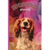 Springer spaniel notebook: super cute writing pad for all ages